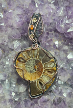 Load image into Gallery viewer, Ammonite
