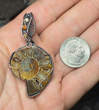 Load image into Gallery viewer, Ammonite
