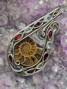 Ammonite & Aquamarine