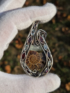 Ammonite & Aquamarine
