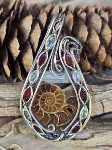 Ammonite & Aquamarine