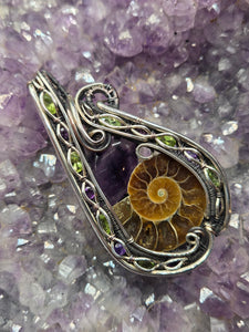 Ammonite & Amethyst