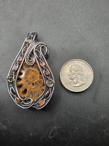 Ammonite