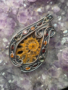 Ammonite