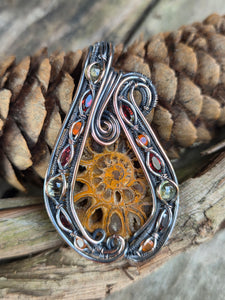 Ammonite