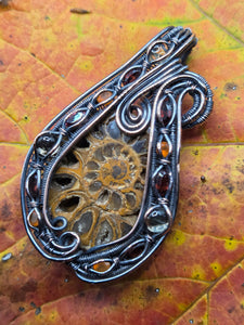 Ammonite