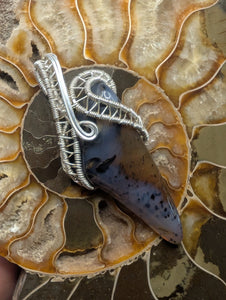 Montana Agate
