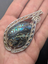 Load image into Gallery viewer, Abalone
