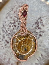 Load image into Gallery viewer, Ammonite and Garnet
