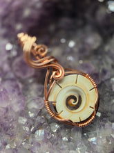 Load image into Gallery viewer, Shell slice
