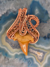 Load image into Gallery viewer, SharkTooth
