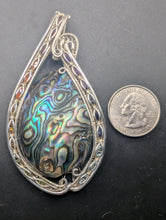 Load image into Gallery viewer, Abalone
