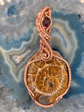 Load image into Gallery viewer, Ammonite and Garnet
