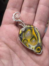 Load image into Gallery viewer, Bumblebee Jasper (set)

