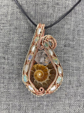 Load image into Gallery viewer, Ammonite
