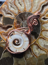 Load image into Gallery viewer, Shell slice
