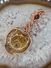 Load image into Gallery viewer, Ammonite and Garnet
