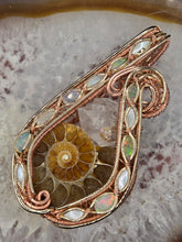 Load image into Gallery viewer, Ammonite
