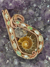 Load image into Gallery viewer, Ammonite
