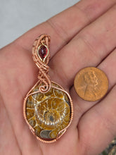 Load image into Gallery viewer, Ammonite and Garnet
