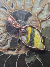 Load image into Gallery viewer, Bumblebee Jasper
