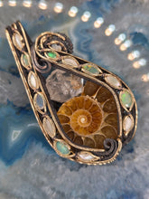 Load image into Gallery viewer, Ammonite

