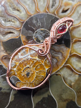 Load image into Gallery viewer, Ammonite and Garnet
