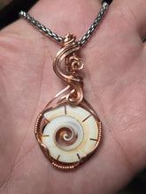 Load image into Gallery viewer, Shell slice
