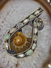Load image into Gallery viewer, Ammonite
