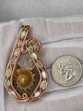 Load image into Gallery viewer, Ammonite
