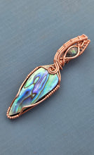 Load image into Gallery viewer, Abalone

